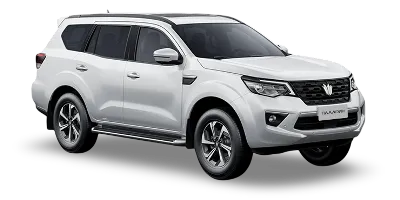 OTING Паладин